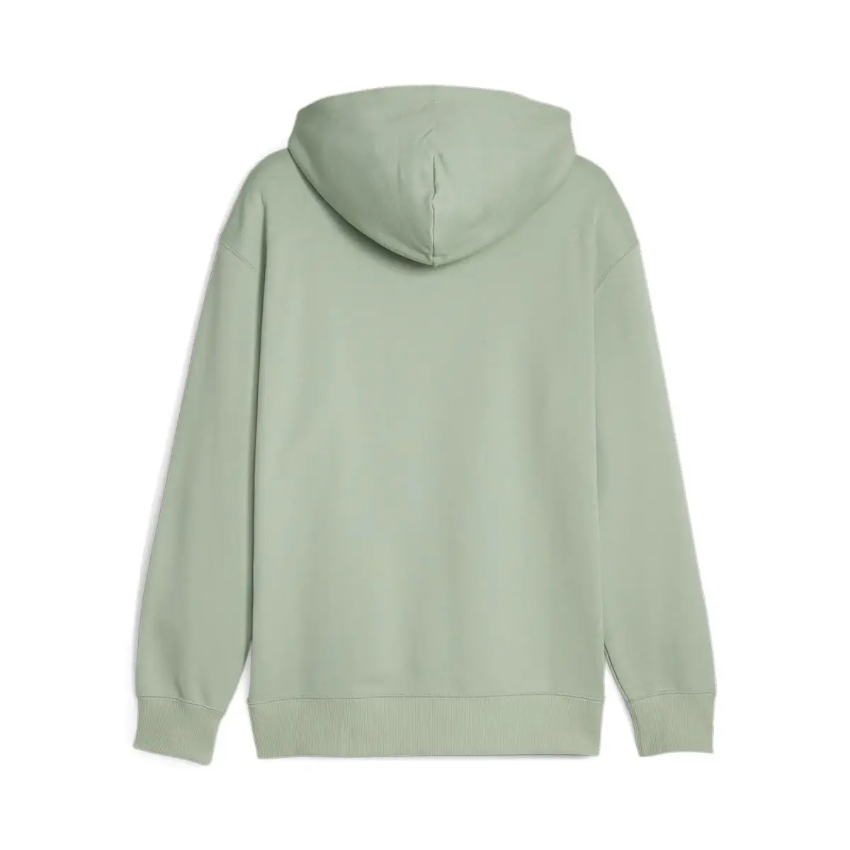 Puma Classıcs Icons Of Unity Hoodie Tr Green Yeşil Erkek Hoodie
