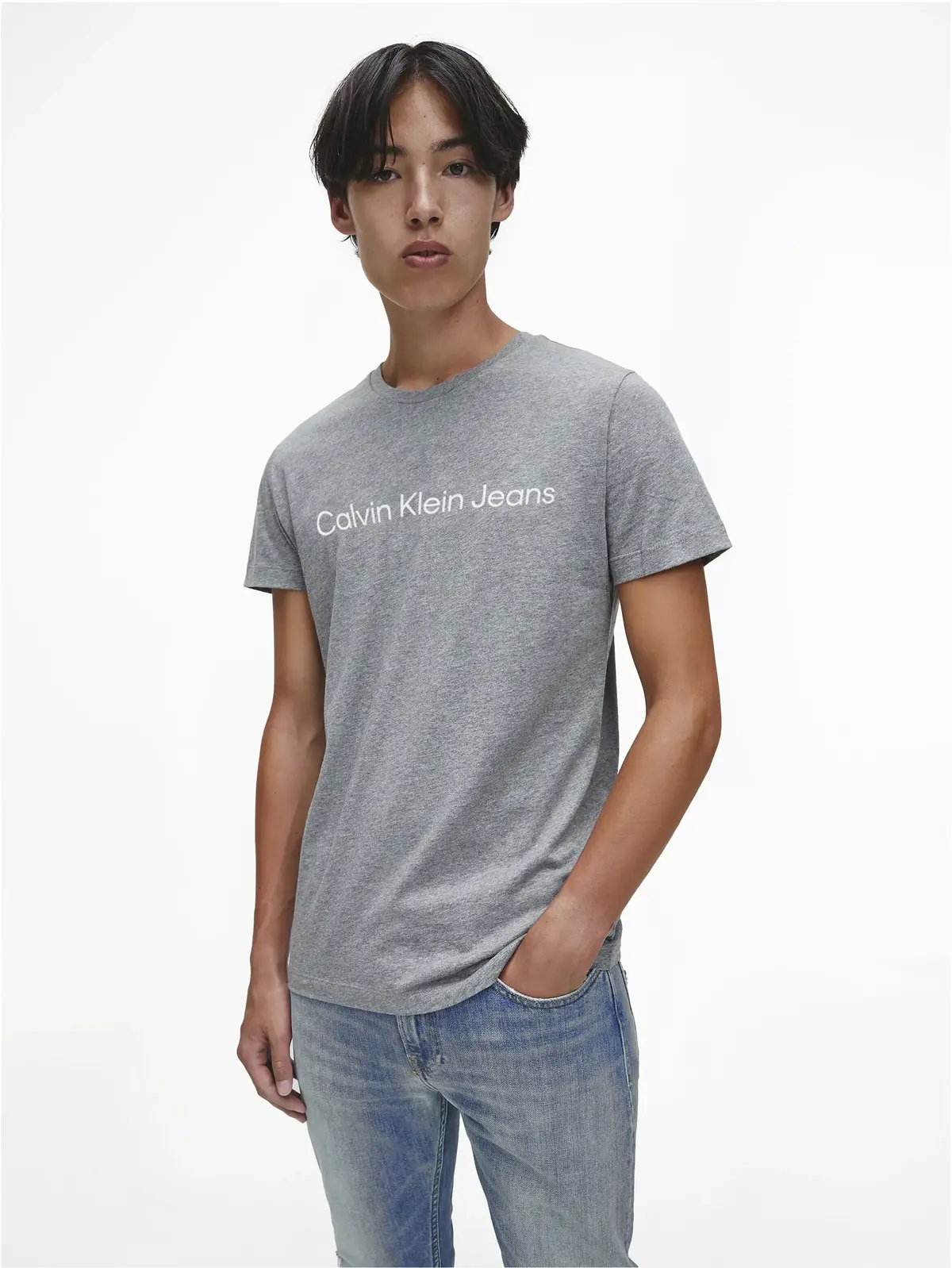 Calvin Klein CORE INSTITUTIONAL L Erkek Gri T-Shirt