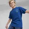 Puma DOWNTOWN Graphic Tee Mavi Erkek T-Shirt & Polo