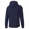 Puma Evostrıpe Core Fz Hoodie Siyah Erkek Hoodie