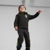 Puma X TROLLS Hoodie Siyah Erkek Sweatshirt