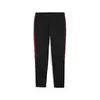 Puma GSK EVOSTRIPE Pants Siyah Erkek Eşofman Altı