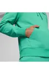 Puma CLASSICS SUPER PUMA Graphic Hoodie TR Yeşil Erkek Hoodie