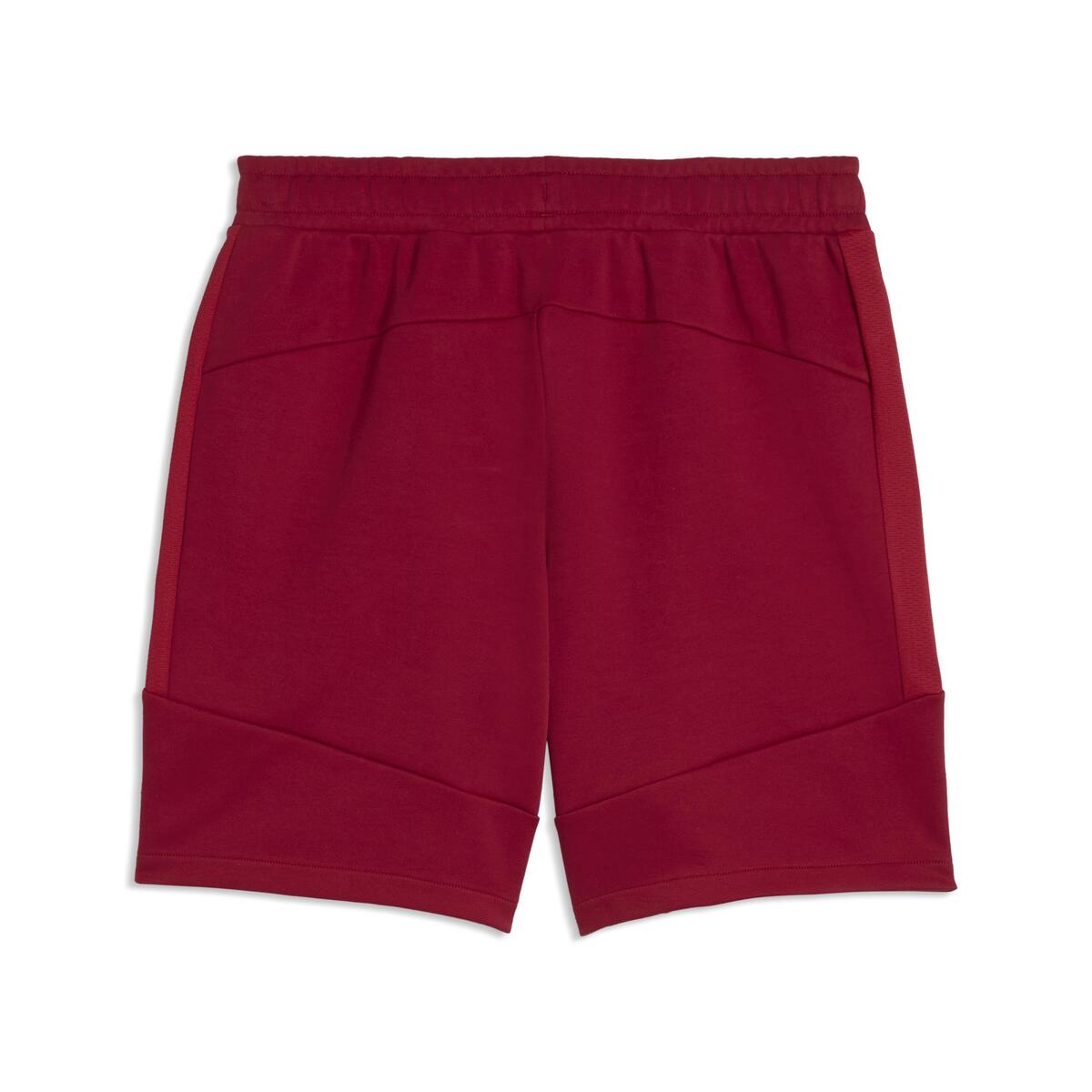 Puma GSK EVOSTRIPE Shorts GALATASARAY EVOSTRIPE Erkek Şort