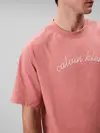 Calvin Klein SS CENTER CHAIN STIT, GNQ Pembe Erkek T-Shirt