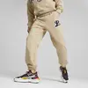 Puma Team Sweatpants TR Bej Erkek Eşofman Altı