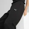 PUMA EVOSTRIPE Pants Siyah Erkek Eşofman Altı