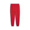 Puma F1 ESS+ Sweatpants - relaxed Kırmızı Erkek Eşofman Altı
