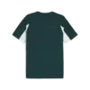 Puma SPORT Tee Erkek T-Shirt & Polo