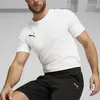 Puma RAD/CAL Shorts Siyah Erkek Şort