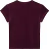 Calvin Klein SS VELOUR LOGO TEE Kadın Kahverengi T-Shirt