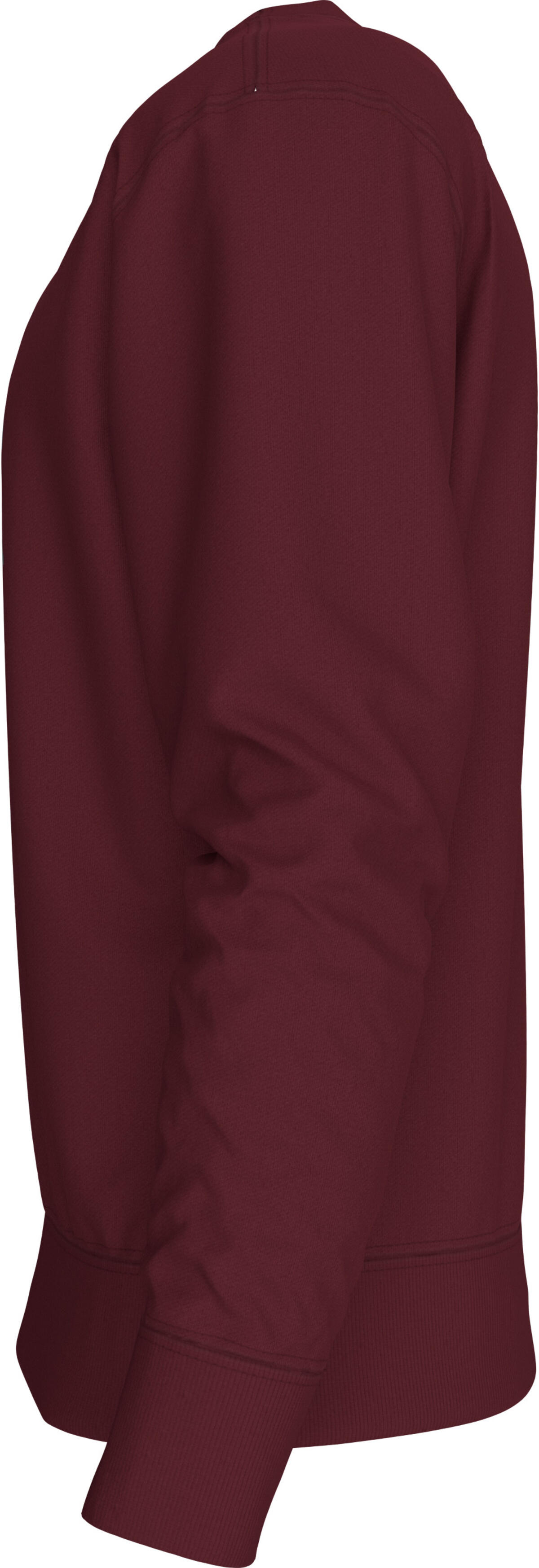 Calvin Klein LS EU 350TERRY MONOLOGO CN SWTSH Kırmızı Erkek Sweatshirt Calvin Klein LS EU 350TERRY MONOLOGO CN SWTSH Kırmızı Erkek Sweatshirt