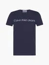 Calvin Klein CORE INSTITUTIONAL L Erkek Siyah T-Shirt