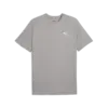 Puma TRAINING Tee Gri Erkek T-Shirt & Polo