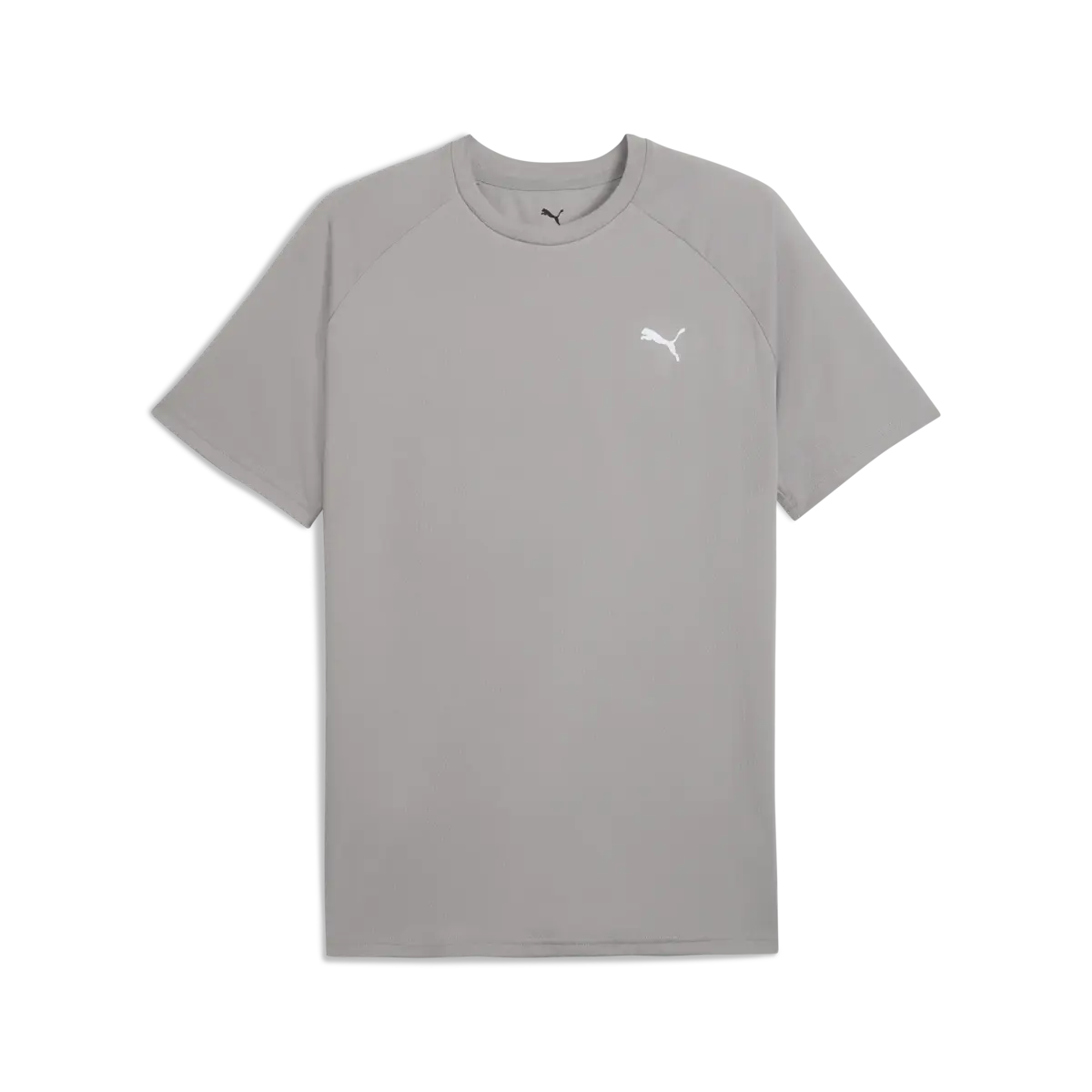 Puma TRAINING Tee Gri Erkek T-Shirt & Polo