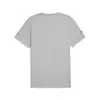 PUMA MAPF1 ESS Car Graphic Tee Gri Erkek T-Shirt
