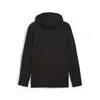 Puma EVOSTRIPE Full-Zip Hoodie Siyah Erkek Fermuarlı Ceket