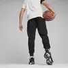 Puma Graphic Booster Sweat Erkek Siyah Eşofman Altı