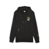 Puma BRAND LOVE Graphic Hoodie Siyah Erkek Sweatshirt