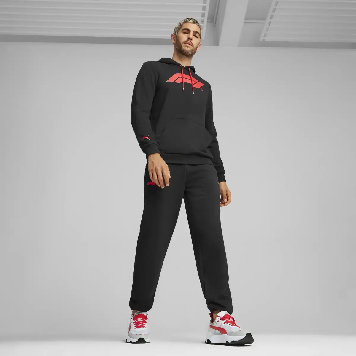Puma F1 ESS Logo Hoodie Siyah Erkek Sweatshirt
