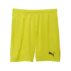 Puma teamGOAL Shorts Sarı Erkek Şort