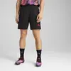 Puma individualCUP Shorts Erkek Şort