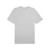 Puma F1 ESS Graphic Tee Gri Erkek T-Shirt & Polo