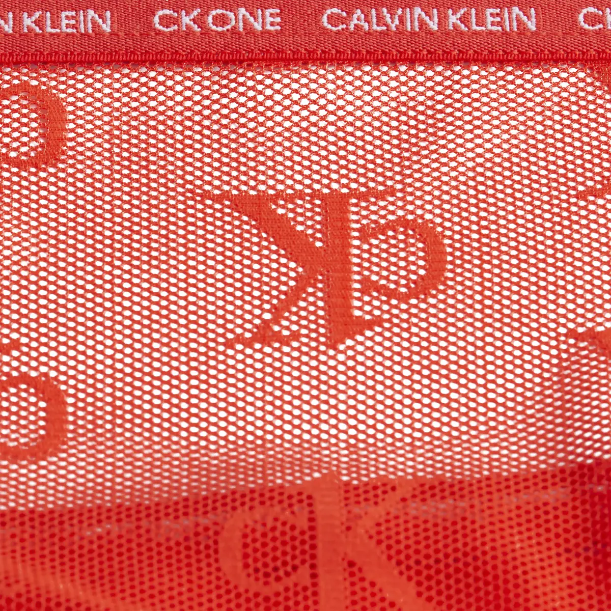 Calvin Klein BIKINI Kadın Kırmızı Bikini Külot