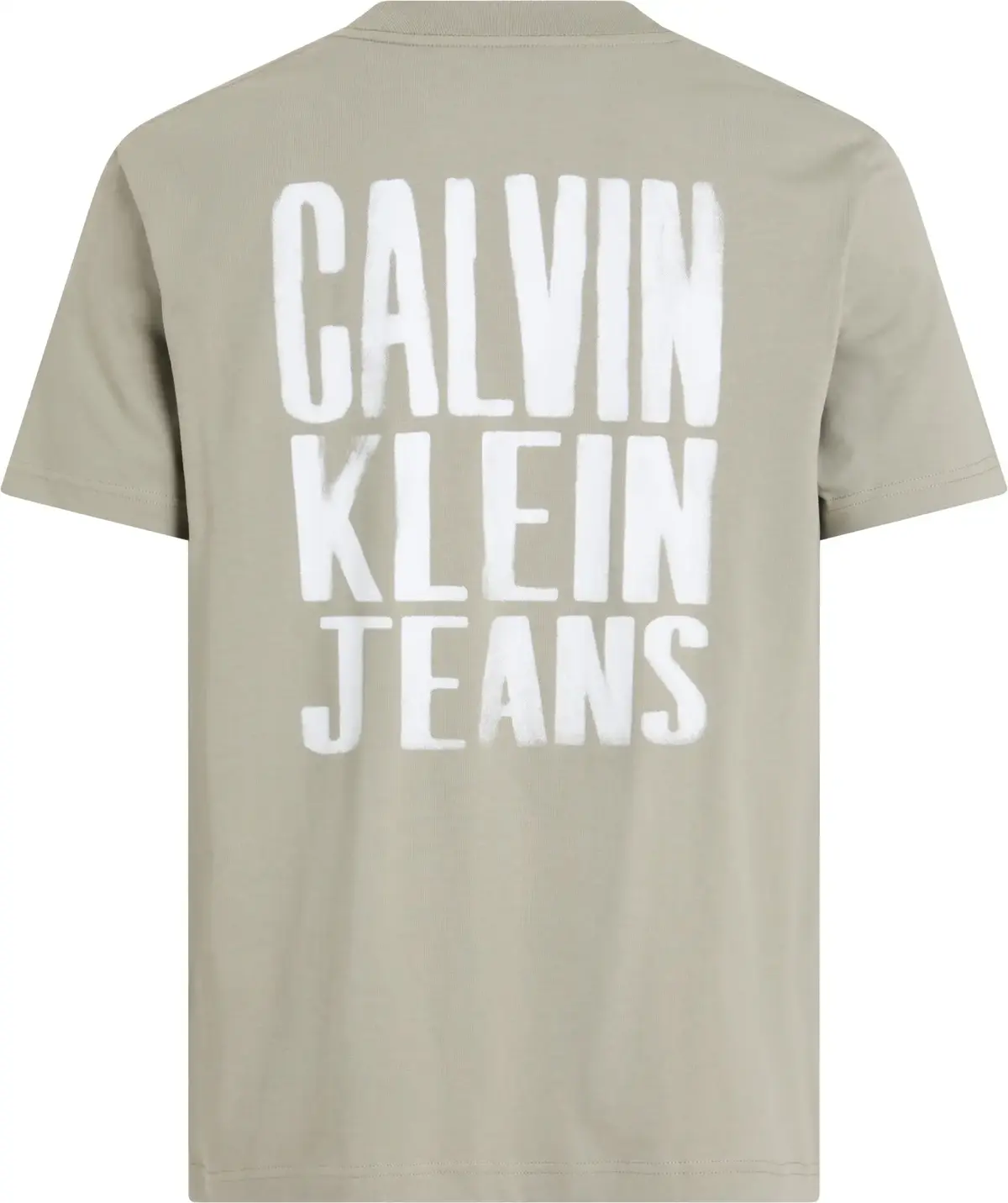 Calvin Klein PAINTED CALVIN KLEIN, PCZ Yeşil Erkek T-Shirt & Polo