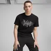 Puma GRAPHICS Skateboard Tee Siyah Erkek T-Shirt & Polo
