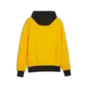 Puma Posterize 2.0 Hoodie Erkek Sweatshirt