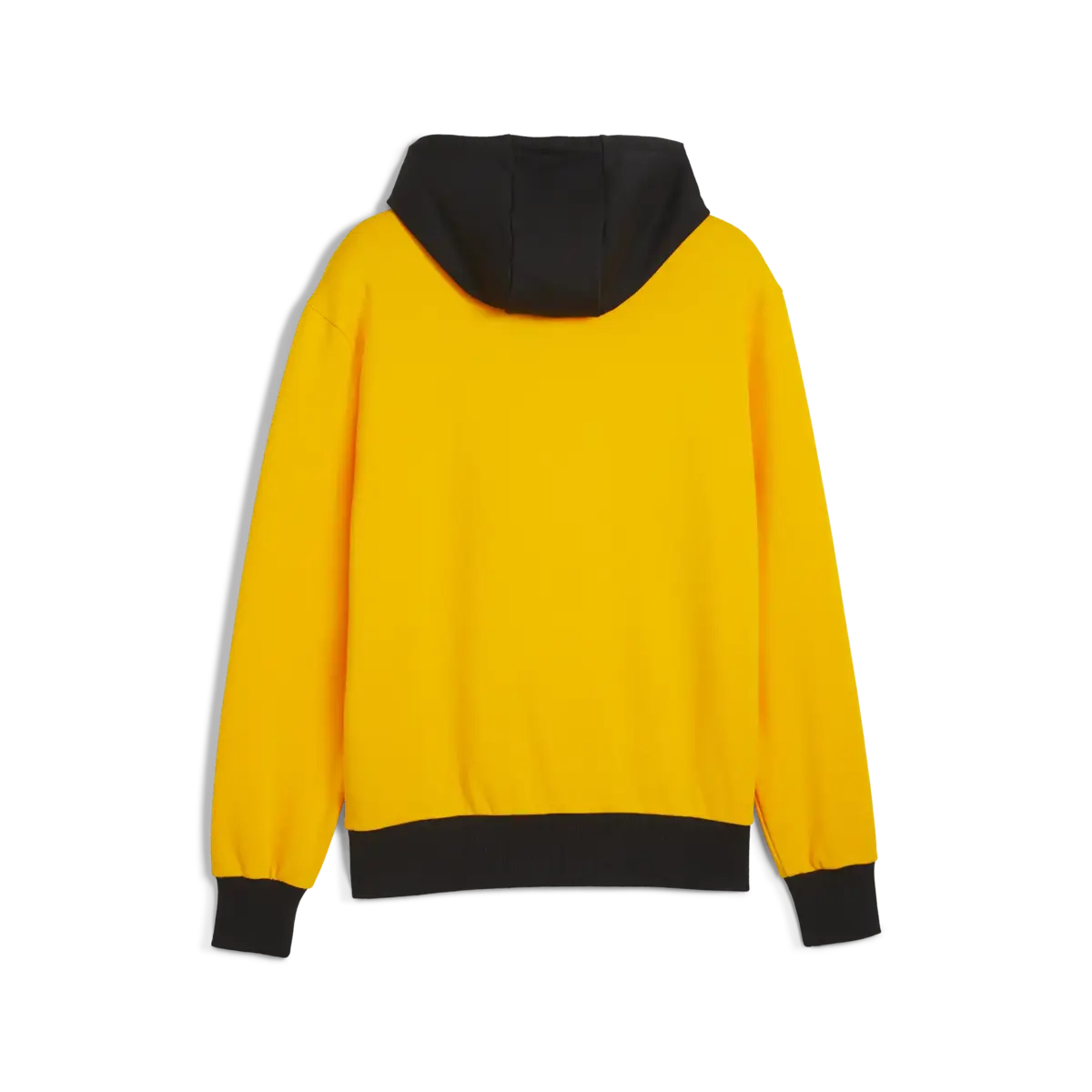 Puma Posterize 2.0 Hoodie Erkek Sweatshirt
