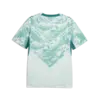 PUMA FPF Away Jersey Replica Yeşil Erkek Forma