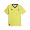 Puma FSK Away Jersey Promo Sarı Erkek Forma
