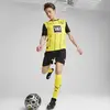 PUMA BVB Home Jersey Replica Sarı Erkek Forma