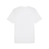 Puma GRAPHICS Mountain Tee Beyaz Erkek T-Shirt & Polo