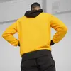 Puma Posterize 2.0 Hoodie Erkek Sweatshirt