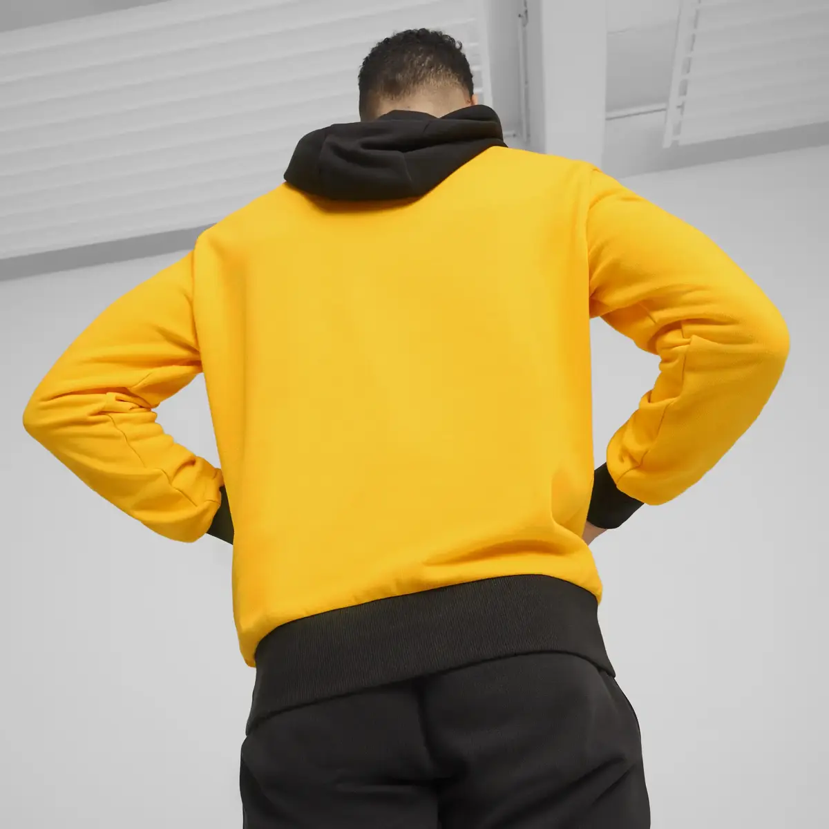 Puma Posterize 2.0 Hoodie Erkek Sweatshirt