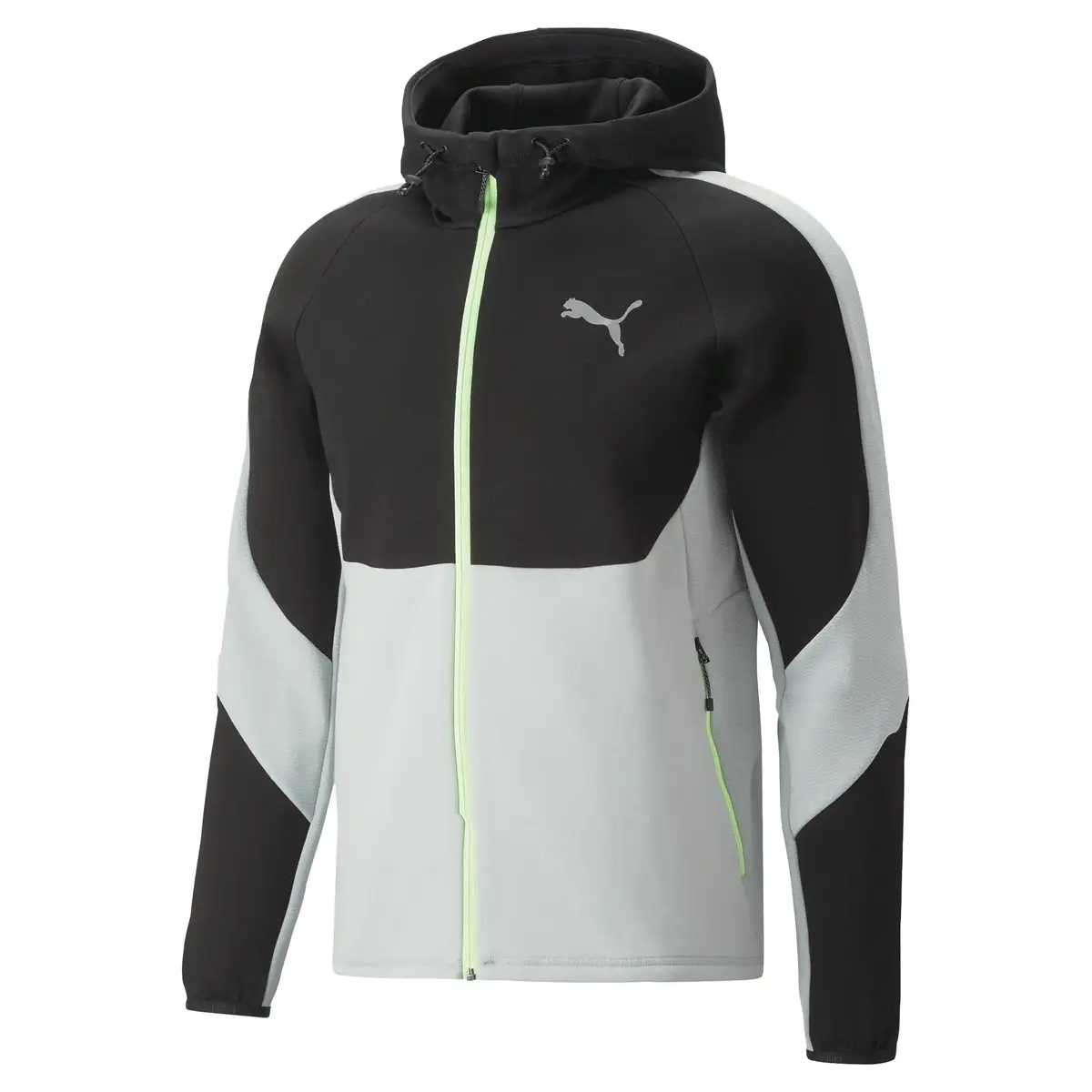Puma EVOSTRIPE Full-Zip Hoodie DK - Siyah Erkek/Unisex Hoodie