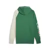 Puma X CARROTS Hoodie Yeşil Erkek Hoodie