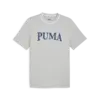 Puma PUMA SQUAD Graphic Tee Gri Erkek T-Shirt