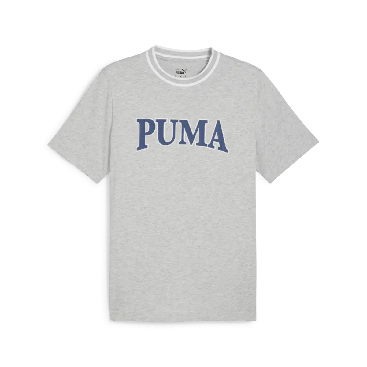 Puma PUMA SQUAD Graphic Tee Gri Erkek T-Shirt