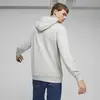 Puma NO.1 LOGO Hoodie Gri Unisex Hoodie