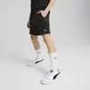 Puma EVOSTRIPE Shorts DK Siyah Erkek Şort