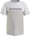 Calvin Klein CLR BLOCK T-SHIRT Erkek Krem T-Shirt
