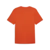 Puma GRAPHICS Sneaker Tee Erkek T-Shirt & Polo