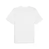 Puma CLASSICS Small Logo Tee Beyaz Erkek T-Shirt