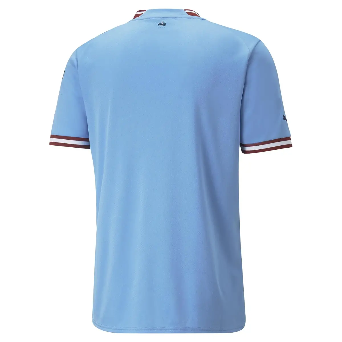 Puma Mcfc İç Saha Forması Team Light Blue Erkek Takım Forması