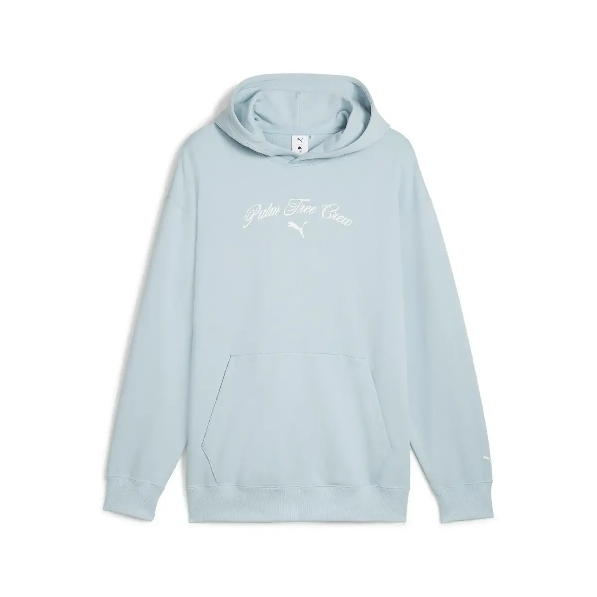PUMA X PTC Graphic Hoodie Turkuaz Erkek Hoodie