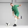 Puma teamCUP Training Jersey Erkek Forma